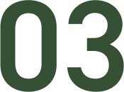 03